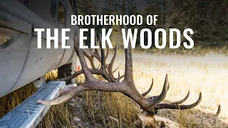 BROTHERHOOD OF THE ELK WOODS - A Wyoming Archery Elk Hunt