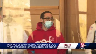 Man accused of killing neighbor's dog that attacked his duck