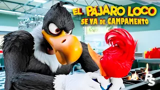 EL PAJARO LOCO 2 | Woody Woodpecker Goes to Camp - Resumen