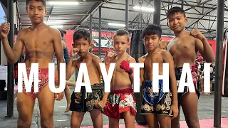 Тренировка по муай тай. Phuket Fight Club. Pre opening