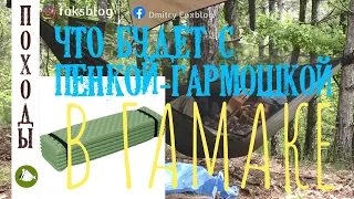 ЧТО БУДЕТ С ПЕНКОЙ-ГАРМОШКОЙ В ГАМАКЕ