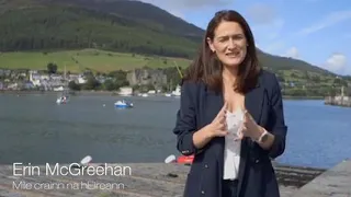 Míle Crainn Na hÉireann