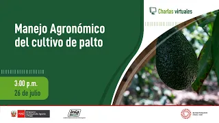 Manejo Agronómico del cultivo de palto