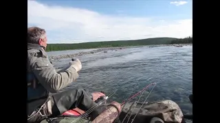 Бурный перекат в 1 км ниже устья реки Хойла. Река Танью