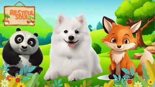 Happy Animal Moment Around Us: Panda, Dog, Fox - Familiar Animal Sounds