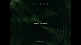 Chillout Downtempo, Organic & Afro House Mix // Kris Nami at Tulumnati