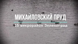 Михайловский пруд в 15 микрорайоне городе Зеленоград