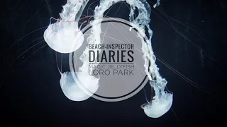 Loro Parque - Magic Jellyfish