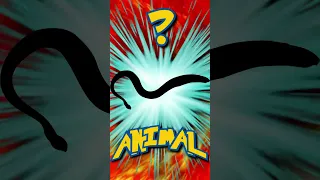 Who's That ANIMAL?! (ep. 39) #shorts #animals #quiz| Animal Fact Files