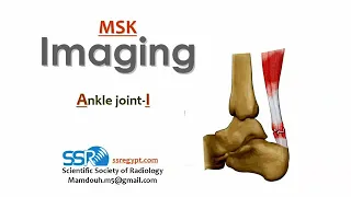 Ankle Joint Imaging ( part 1) ..Prof.mamdouh Mahfouz (2019 edition)