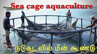 இராமேஸ்வரத்தில் கடலில் மீன் கூண்டு செய்வது எப்படி | Sea cage farming | Aquaculture | Mariculture