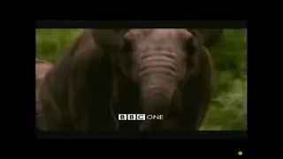 Walking With Beasts BBC1 Series Episode 4: Next of Kin Commercial