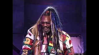 George Clinton Inducts Sly and the Family Stone into the Rock & Roll Hall of Fame | 1993 Induction