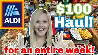 HUGE Aldi $100 Weekly Grocery Haul Challenge and Shop with Me / What's New at Aldi?