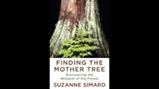 Book Review - Finding the Mother Tree: Discovering the Wisdom of the Forest  2021  Suzanne Simard.