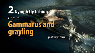 How to • Nymph fly fishing • Gammarus and grayling • fishing tips
