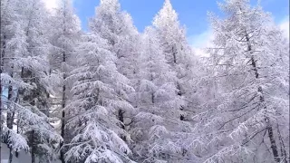 Юля Шатунова Снег 2017