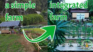 Paano maging successful ang isang farm into Integrated Farm? Integrated Farming in the Philippines