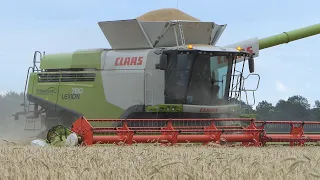 Claas Lexion 780TT harvesting winter Barley w/ Vario 1230 41ft. header | DK Agriculture