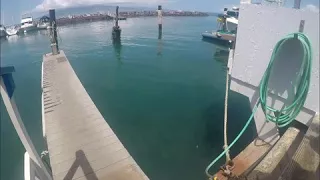 Maui, Hawaii, Glass Bottom Boat