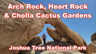 Arch Rock & Heart Rock Trails, Cholla Cactus Gardens, & Kies View in Joshua Tree National Park!