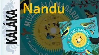 Tamkó Sirató Károly: Nandu | Muzsikáló madárház - A Kaláka és Gryllus Vilmos dalai