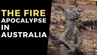 The Fire Apocalypse in Australia | Indiatimes