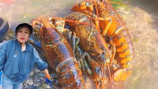 [ENG SUB] Xiao Zhang is driving the sea. There are huge bread crabs hidden under the stones and thr