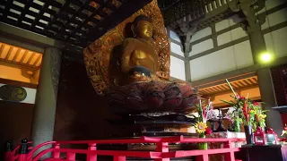 The Byodo-In Temple, Valley of the Temples - Best Memorial Park - Hawaii 2020