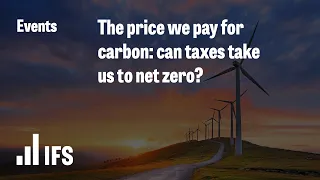 The price we pay for carbon: can taxes take us to net zero?