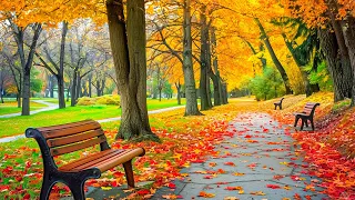 Peaceful Autumn Melodies 🍁 Relaxing Sounds for Your Soul & Heart 🍂 Beautiful Relaxing Music #1