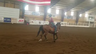 13yo Gelding Reining horse for sale(reining pattern)
