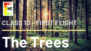 The Trees Poem Class 10 | First Flight Poem 8 | Explained with Literary Devices