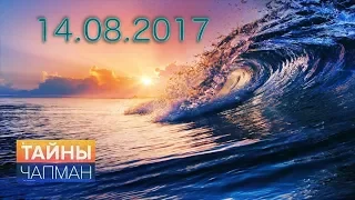 Тайны Чапман  Волны убийцы (14.08.2017)HD