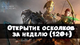 Watcher of Realms | Открытие 120+ осколков