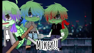 Tmnt Mikey (angst) Don’t touch my brothers