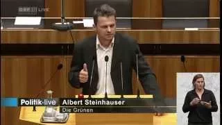79. Nationalratssitzung · Albert Steinhauser (Grüne)