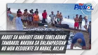 Aabot sa mahigit isang toneladang tambakol nakuha sa dalampasigan ng mga residente sa Nabas, Aklan