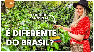 Como é uma fazenda de CAFÉ na COLOMBIA (e como fazer café do jeito certo) | Café com aroma de mulher