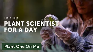 A Day in the Life of a PLANT SCIENTIST — Ep. 354