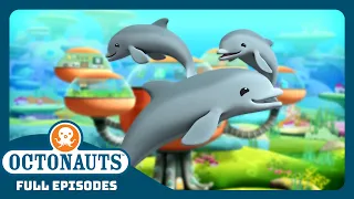 @Octonauts - 🐬 The Dolphin Reef Rescue  ⛑️ | Season 1 | Full Episodes | Cartoons for Kids