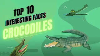 Top 10 Facts About Crocodiles You DON'T Know