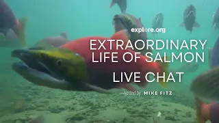 The Extraordinary Life of Salmon | Brooks Live Chat