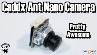 Caddx Ant Nano FPV Camera - it's good!  Supplied by Banggood