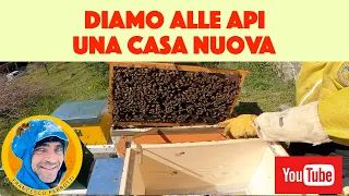 #apicoltura 2023 : diamo alle api una nuova casa. travaso nuclei api.