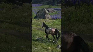 RDR2 Has The BEST Horses and there are MORE! | Custom Horse Mods