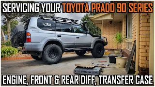 DIY: Toyota Prado 90 Series // Servicing Your Vehicle