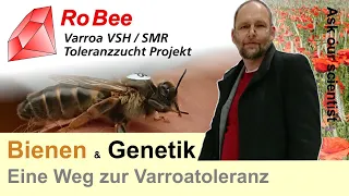 19 ) Bienen & Genetik , Ein Weg zur varroa toleranten Bienen, Ein Jahresplan für den Standimker