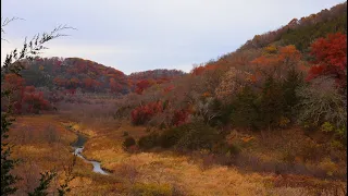 FLY FISHING ISOLATED VALLEY IN THE HILLS: Hunting for Wild Brown Trout (Iowa Driftless Region)