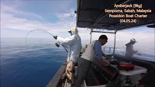 Semporna Amberjack [9kg] (04.05.24)